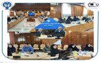 برگزاری کمیته ایمنی و ترویج زایمان طبیعی دانشگاه علوم پزشکی ارومیه